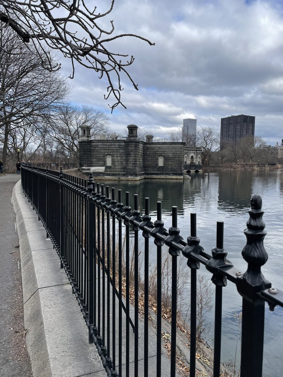 AlexaLikesBirds's tweet photo. It was a gray day made sunny with my FOY Common Loon on the @CentralParkNYC Reservoir this afternoon (thank you @netudiant!) https://t.co/Cthy2ZsvO2