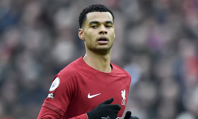 footyhsn's tweet photo. Michael Owen sympathises with Cody Gakpo after £40m man's quiet outing in Liverpool draw at Chelsea https://t.co/kJAAxrVp8a https://t.co/E78yPom0T1