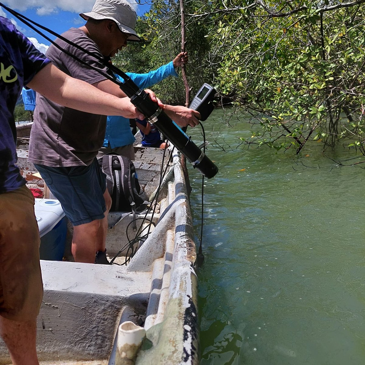 Carlos Vergara-Chen tweet media