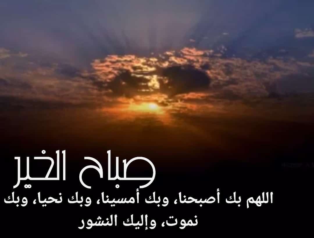 سلطان سفر بن عويد الشدادي (@sultan139742) on Twitter photo 