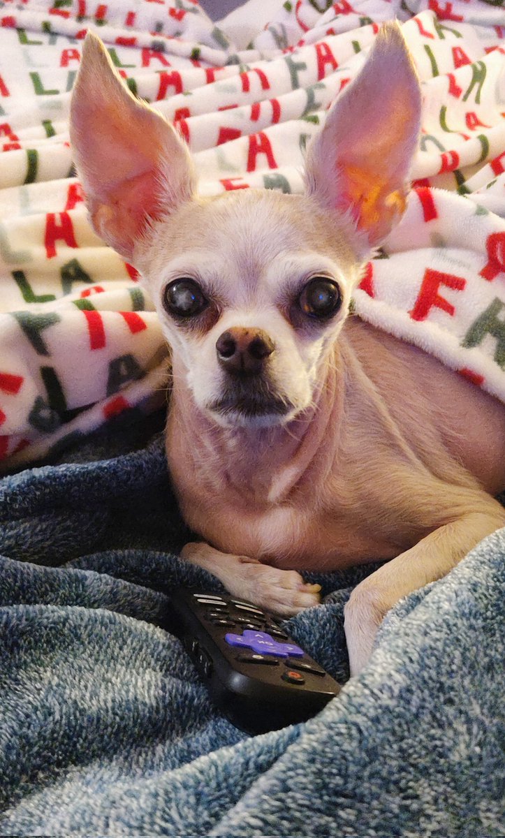 MeAndMyRemote's tweet photo. Tonight's Delilah's last #HallmarkSaturdayNight 😭
@hallmarkchannel
#RemoteStealer #Hallmarkies https://t.co/emSsmj0R36
