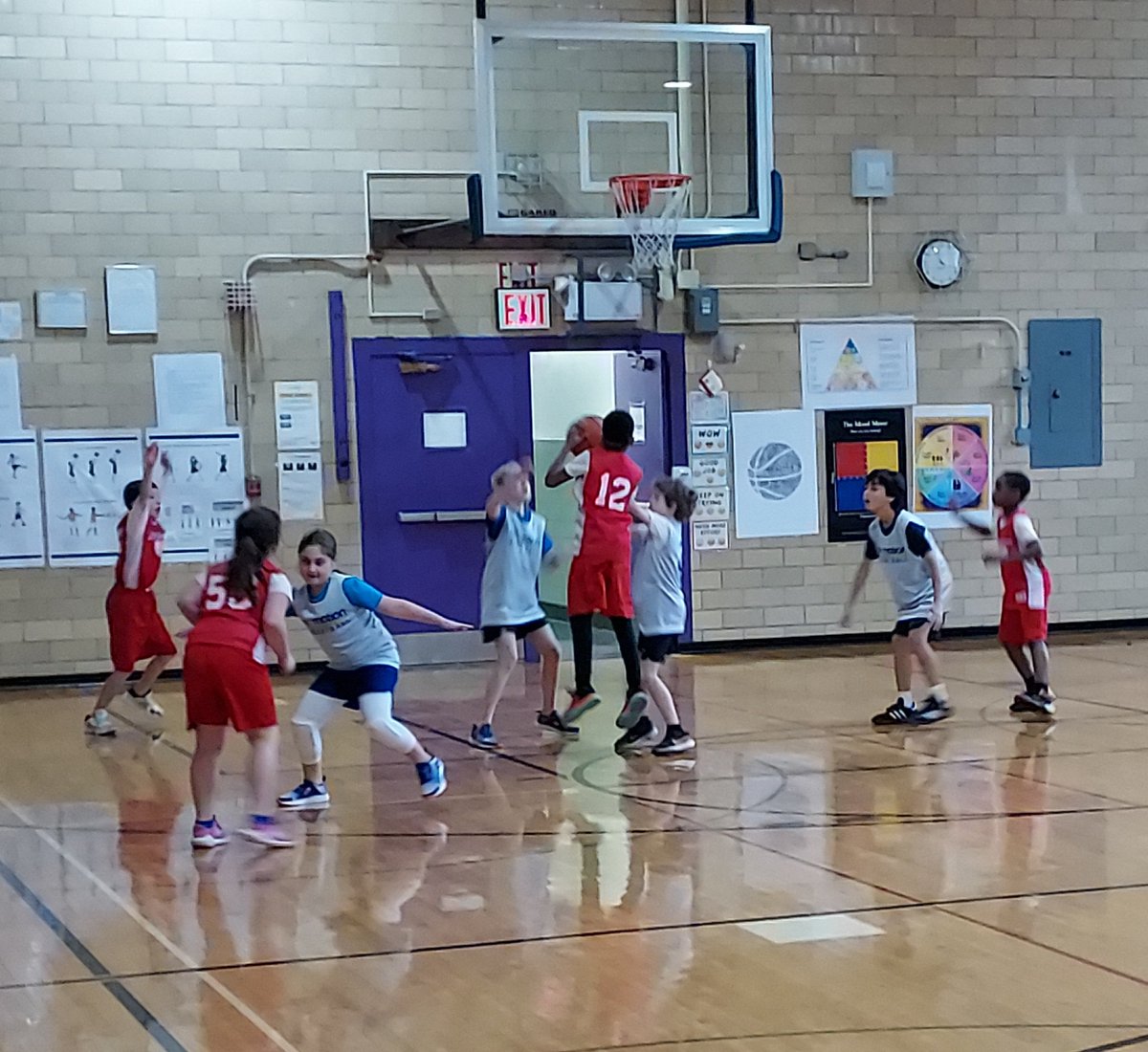 CaedmonBBall's tweet photo. Congratulations to the Caedmon Hawks who secured their second win of the season, topping Mo' Motion Pups, 15 - 10, today. Go Caedmon! #CaedmonBasketball #TheCaedmonStory #CaedmonGrade4 #CaedmonGrade3 #CaedmonCapability #CaedmonCommunity https://t.co/tyrbc0GLJc