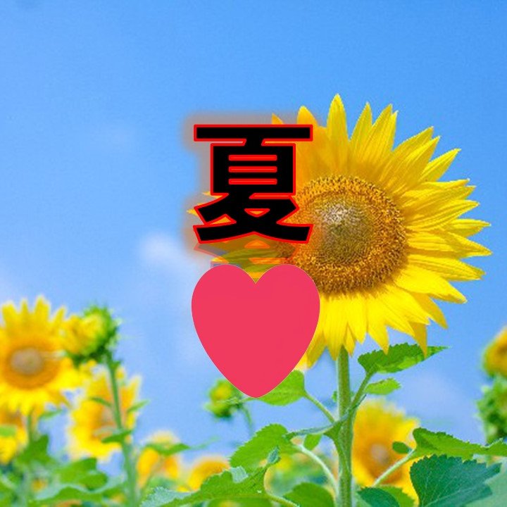 Ayamar0_KCN's tweet photo. みんなは
どっちの季節が好き？ https://t.co/8bmRAzcaD4