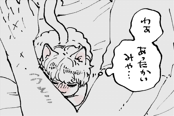 🐱キラキラにゃんこ生活
そぉ〜〜〜🛏️🐈
忘れかけていた温もり🥲 