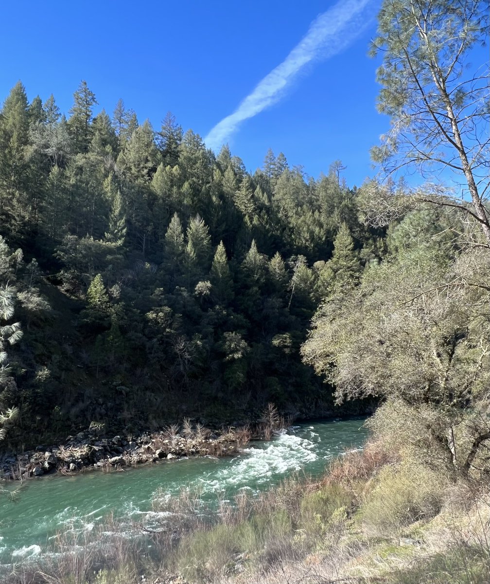 Diane_Y's tweet photo. It was a beautiful day for a hike. #hikewithdogs #NaturePhotography #California https://t.co/MXwhMJ0ADo