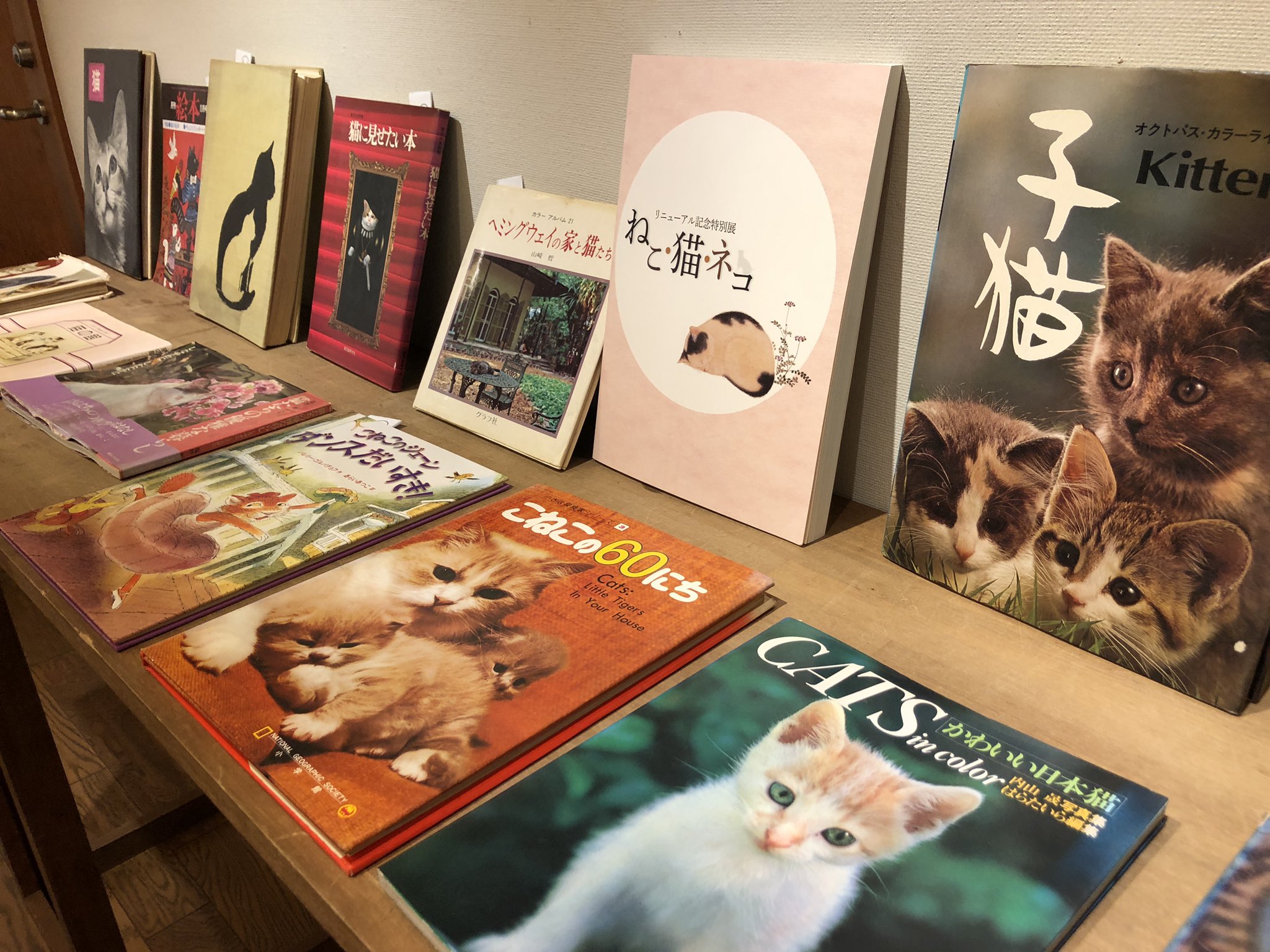 ギャラリー猫町 猫 マッチラベルコレクション ポスター-
