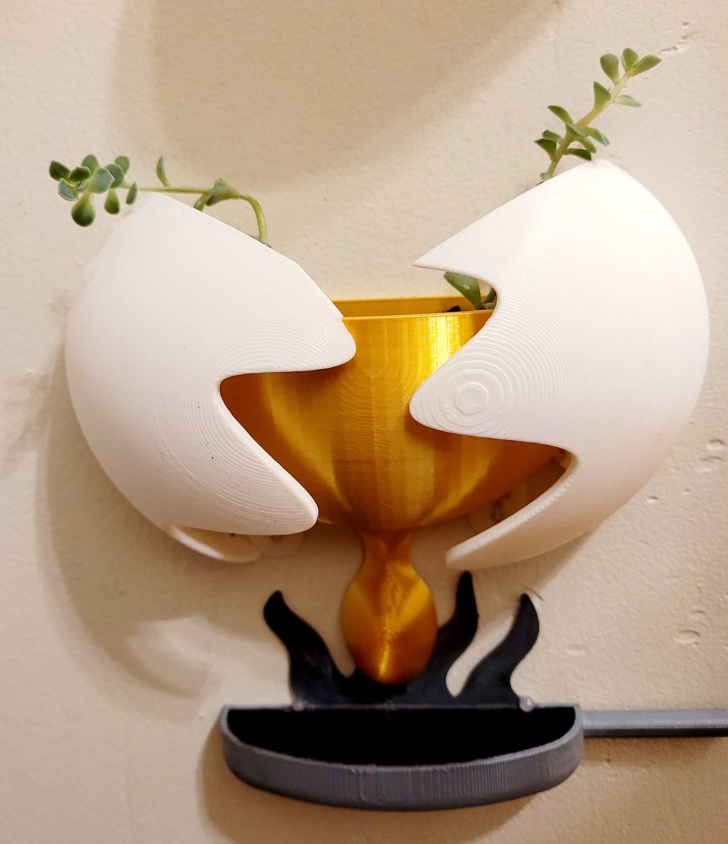 jolt33's tweet photo. At 23 I made this... I think we know who won here
🥚🍳🌱 https://t.co/yRlRSGMMmj