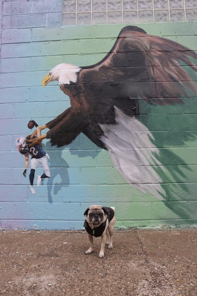 Go birds! GREASE THE POLES 🦅  #GoBirds #EaglesNation <a href="/Eagles/">Philadelphia Eagles</a>