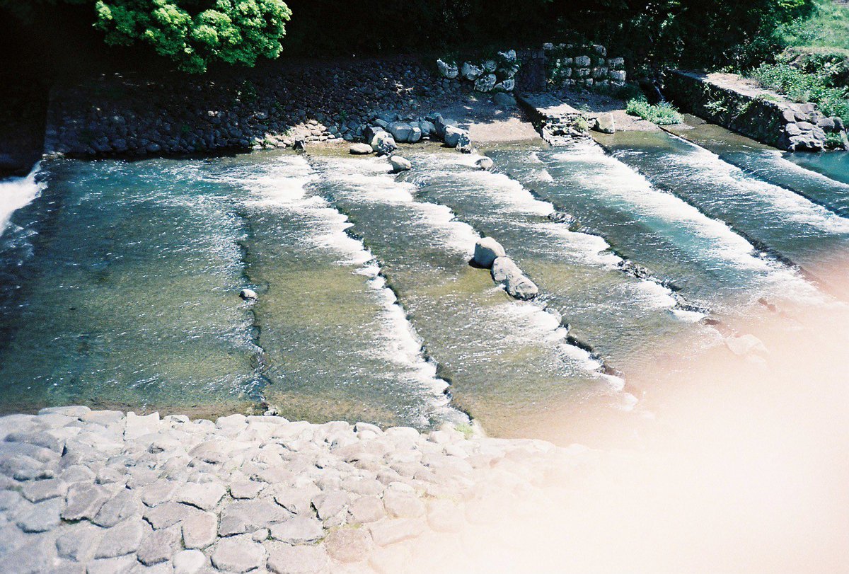 cial_R_ese's tweet photo. 指が入っちゃうのも味だよね（言い聞かせ）
#lomography #lcaplus #heylomography https://t.co/Re2fEoegnF