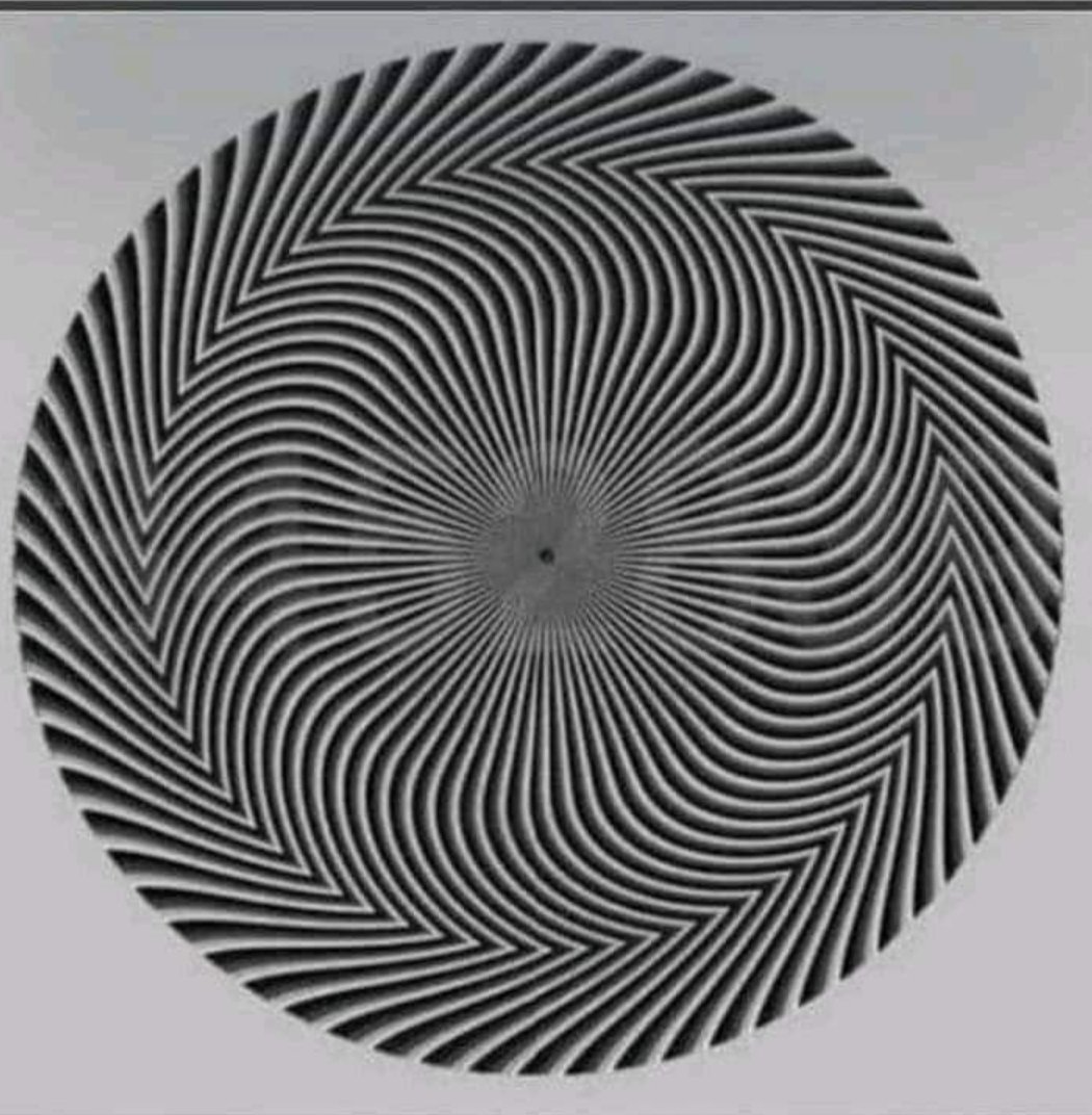 Job Zachariah tweet media