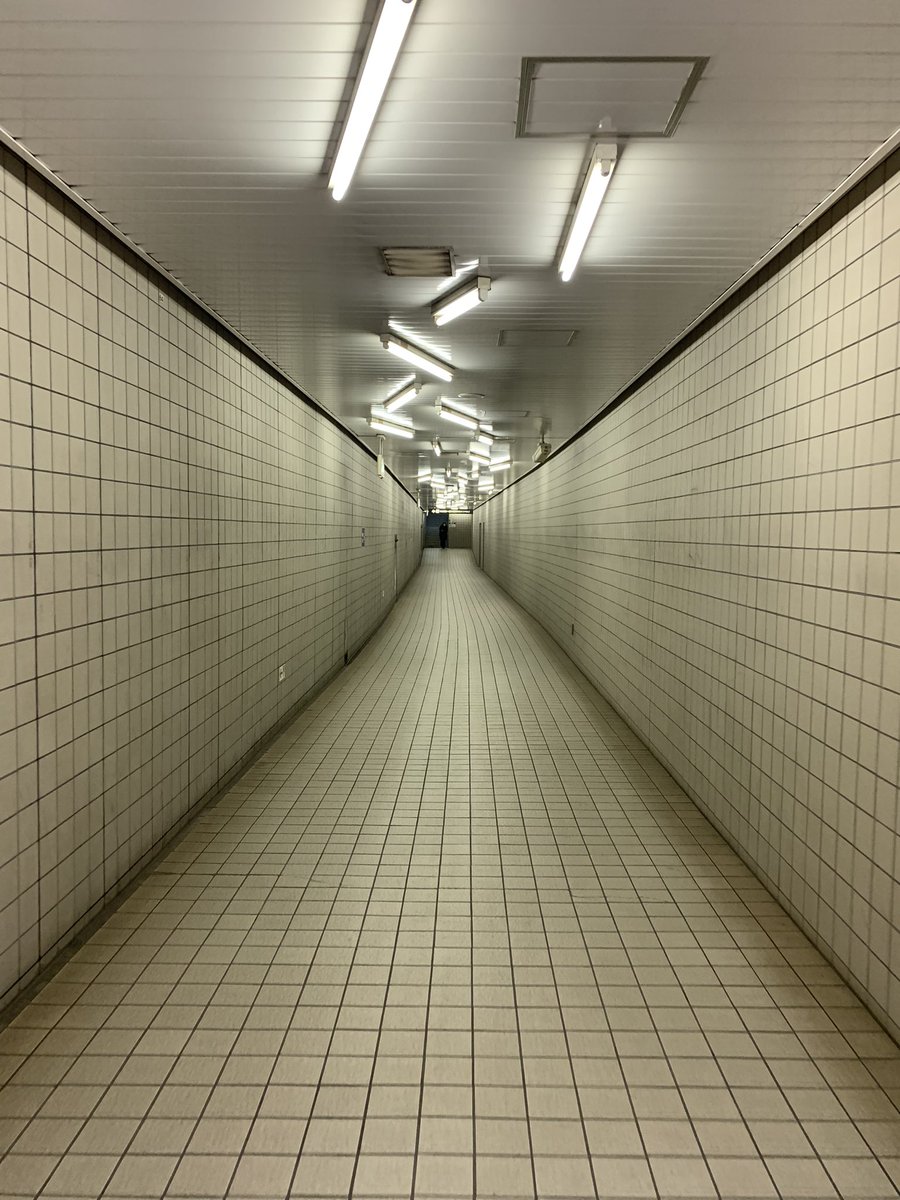 31679679319753a's tweet image. 来れたー！！！
これだけでちょっと満足している自分が…🤣

#Anly要素
#KAKKOII