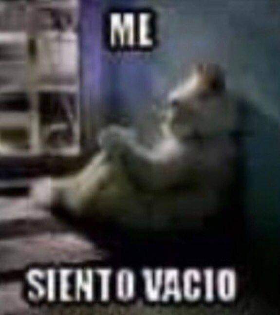 RUBBSL's tweet photo. Como era esto de ser alexbier 🤨 https://t.co/DpUjpXerVT