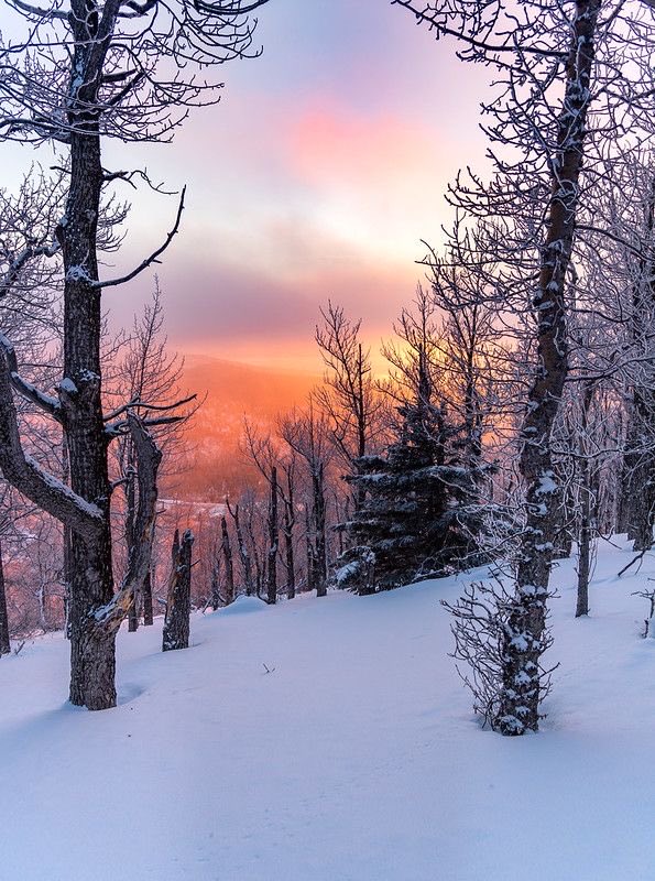 Sophia Brite (@sophiabrite) on Twitter photo 