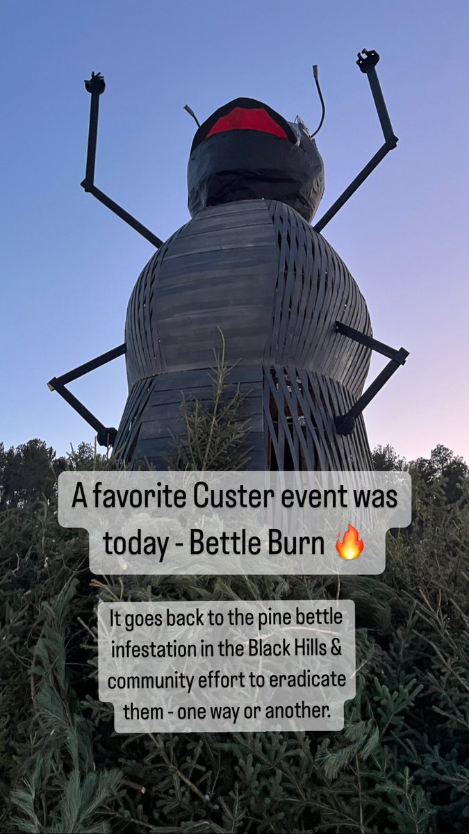 dave_versteeg's tweet photo. #bettleburn #custersd #hifromsd #blackhills https://t.co/umfI1jrwM6