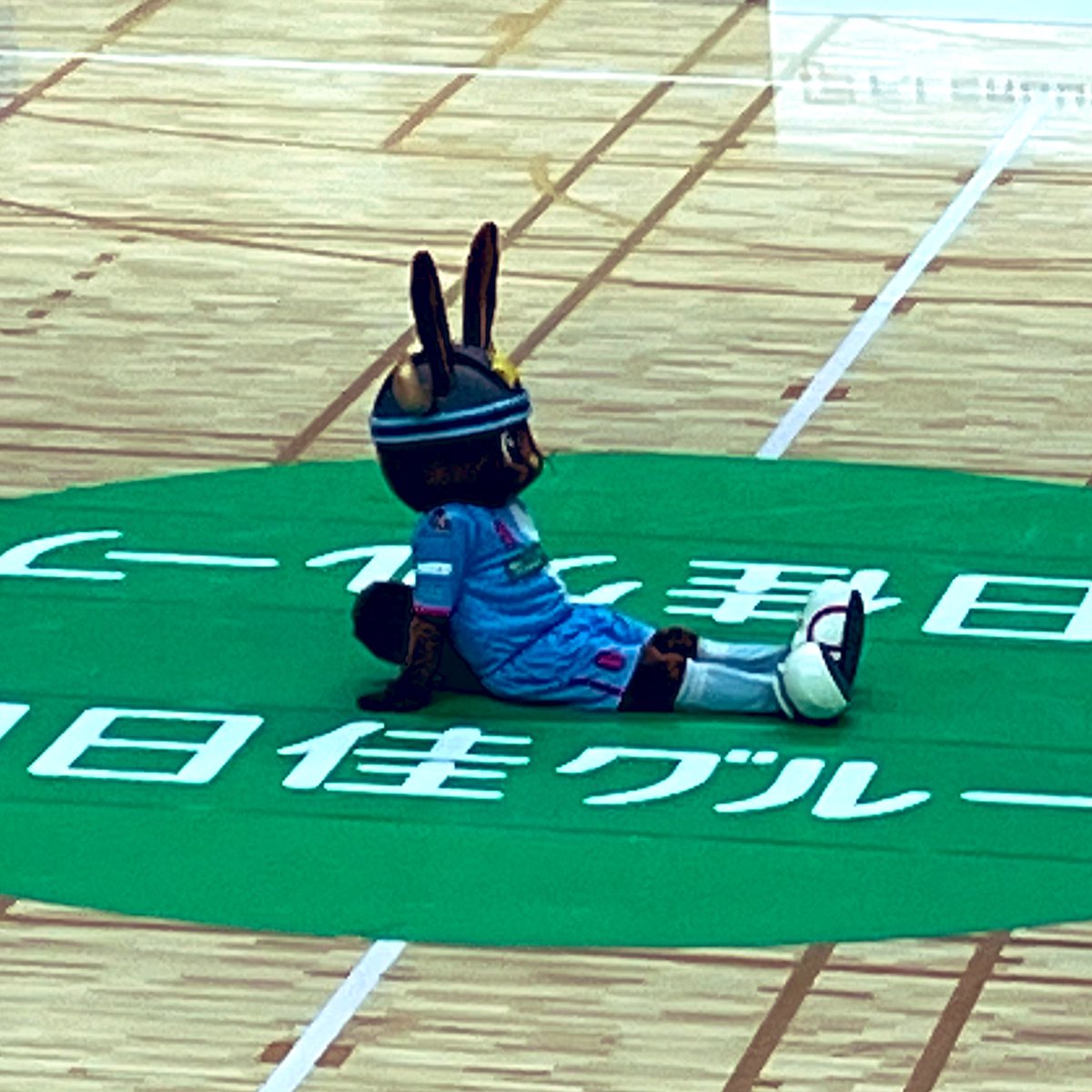 kappa_papa_'s tweet image. 本日もやる気十分リスポさん
#espolada #エスポラーダ北海道 #リスポ