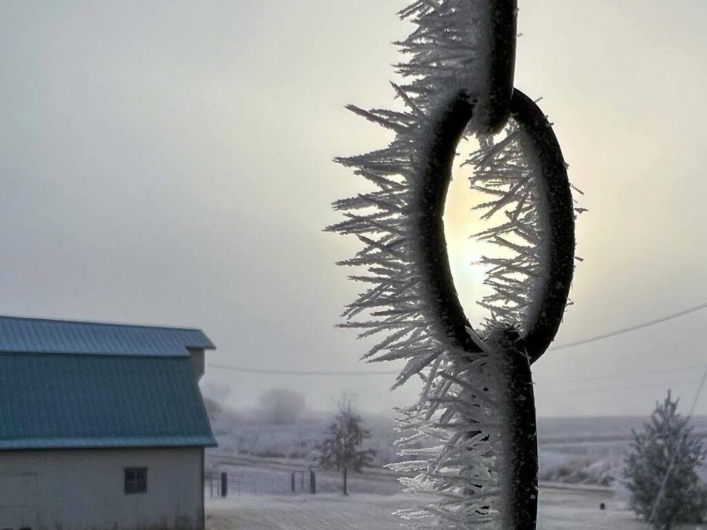 Catching Some Sun . . . . . . #mistydawnseidel #missouriskies #missouriweather #hoarfrost #hoarfrostbeauty #hoarsfrost #hoarsfrostphotography #missourifarm ⁣ #midwestliving #ruralmissouri #midwestisbest #midwestmoment #missourinaturephotographer #mon… instagr.am/p/Cnsu-dNslXh/