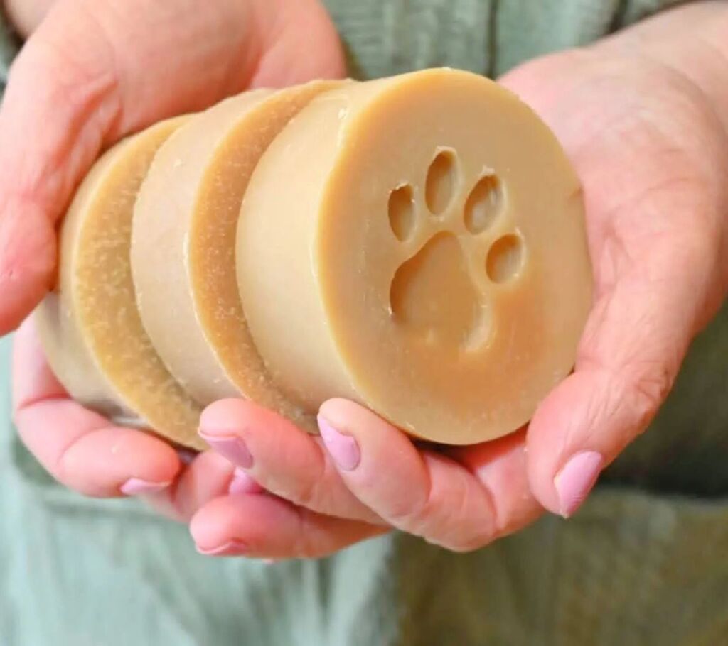 jump_over's tweet photo. Pretty sure you know a dog that needs a bath😊
#lorasbeauty #dogshampoo #neemoildogshampoo #etsyseller #etsystarseller #soapmaking #dogsofinstagram https://t.co/JYlUttGzIj https://t.co/3pINVKPrZA