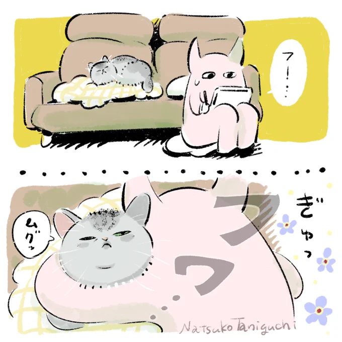 仕事の休憩に猫を抱きしめる。 