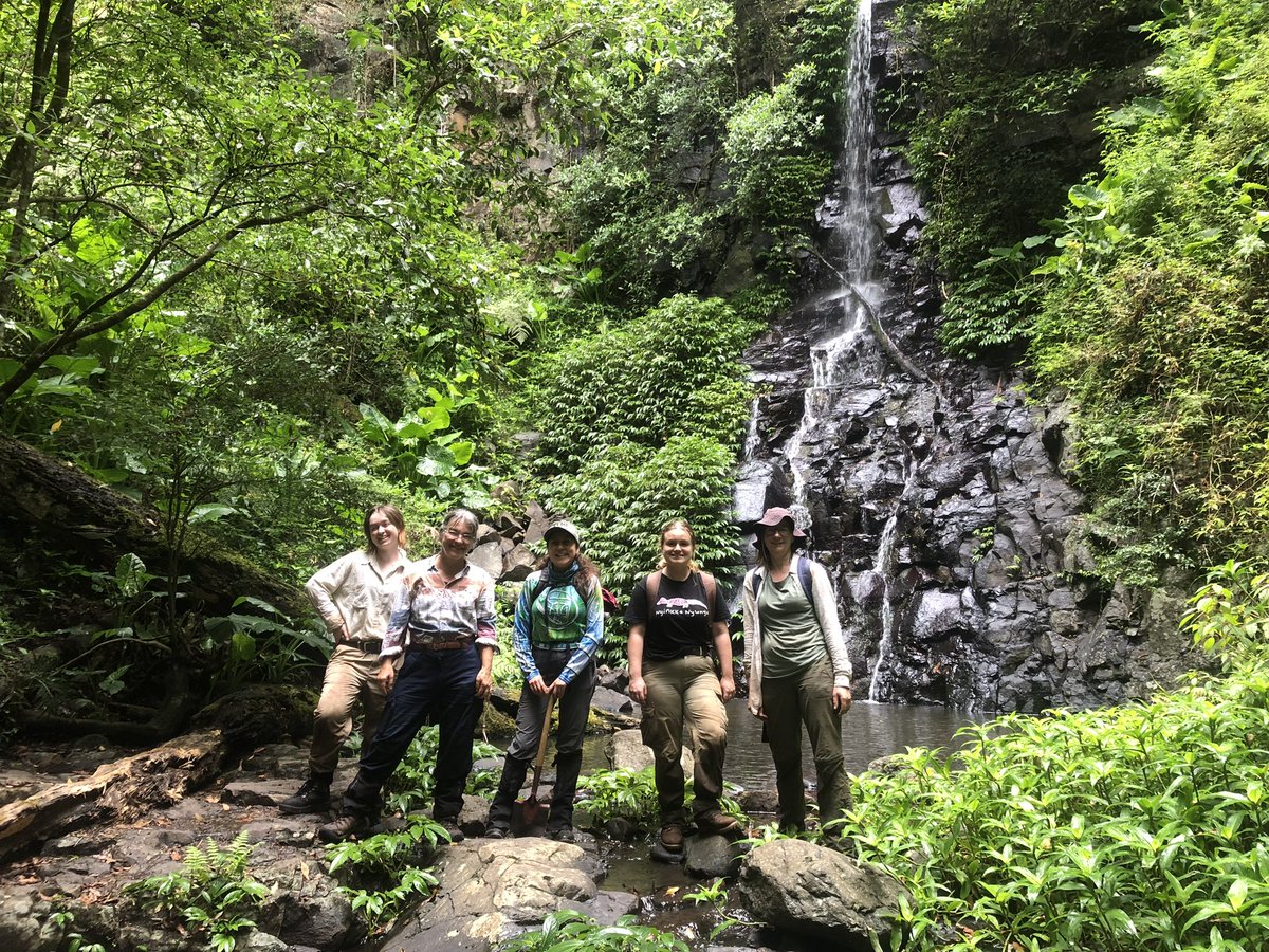 Alfonsina ArriagaJ tweet media