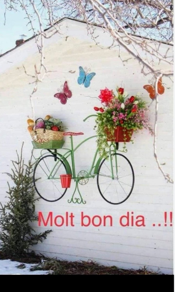 Diumenge d'intencions, projectes a curt termini...
A veure que dóna de si el dia. Bon dia ☕