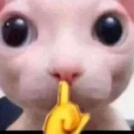 Celestedraws19's tweet image. 