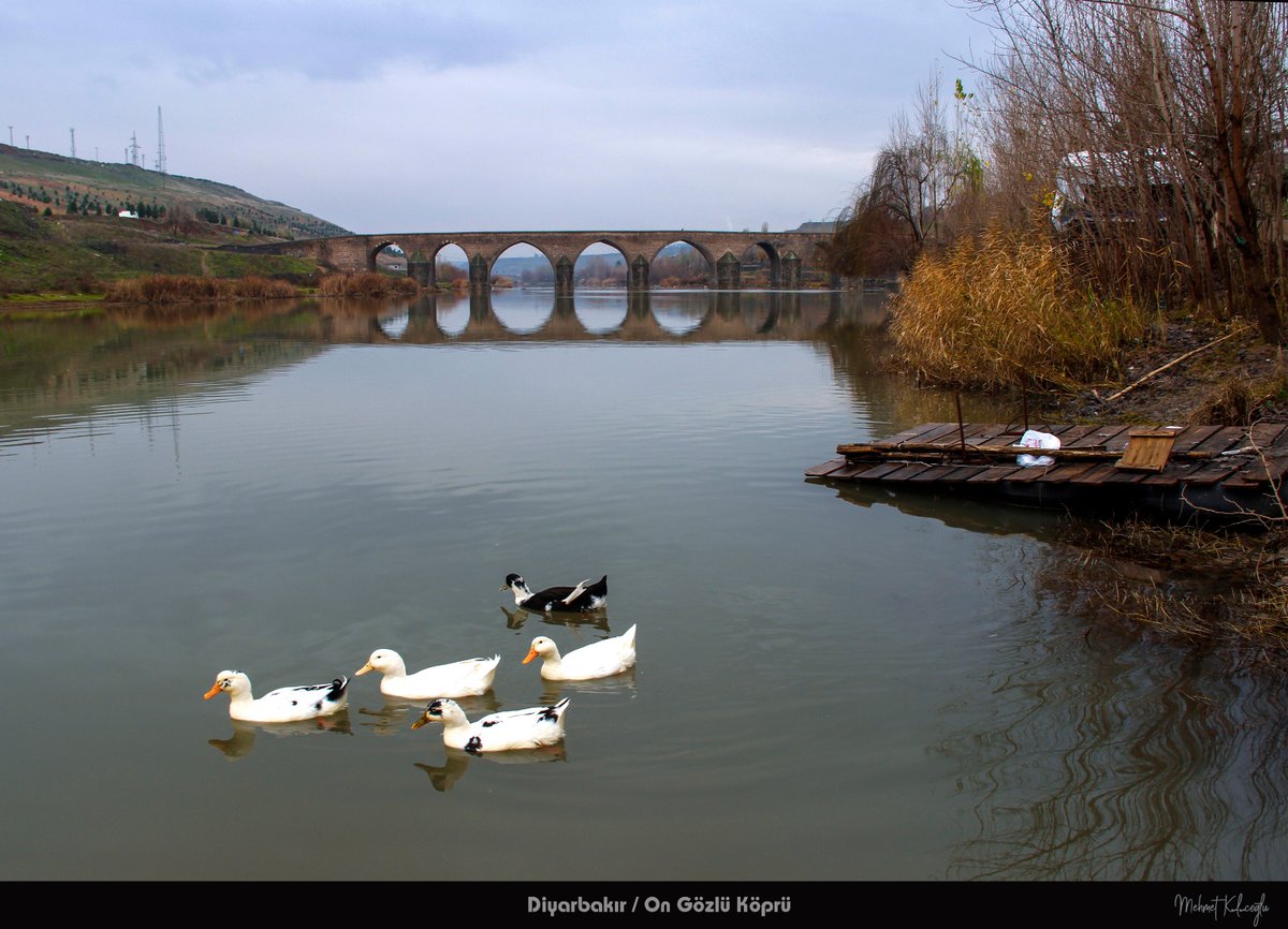 AmidaHaber's tweet photo. Günaydın #Diyarbakır, Rojbaş, Roja şima weş bo
📸 Mehmet Kılıçoğlu https://t.co/drVWmeMvlI