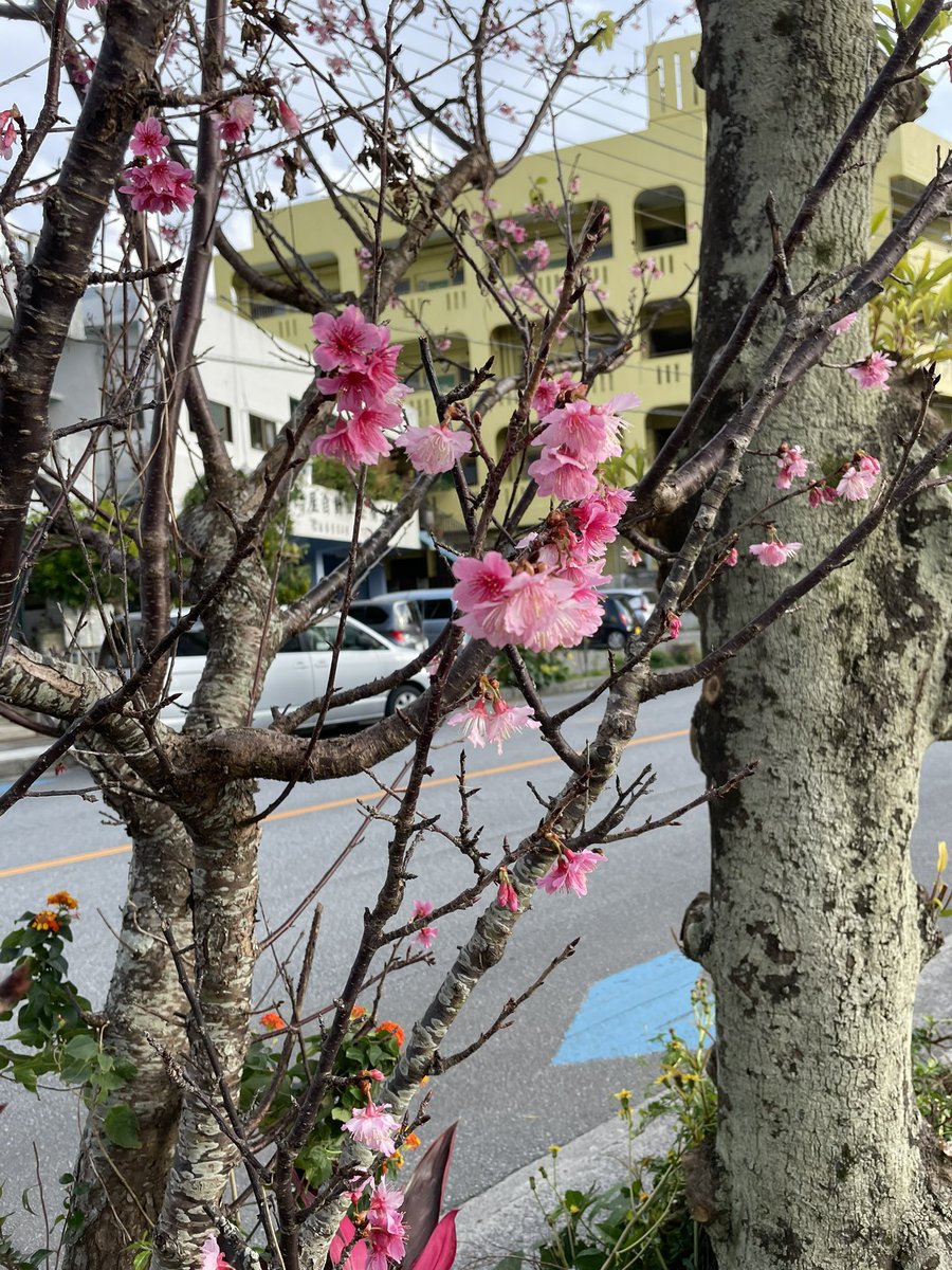 AocwaG's tweet photo. ほんと早いよな https://t.co/nseUKOcghB