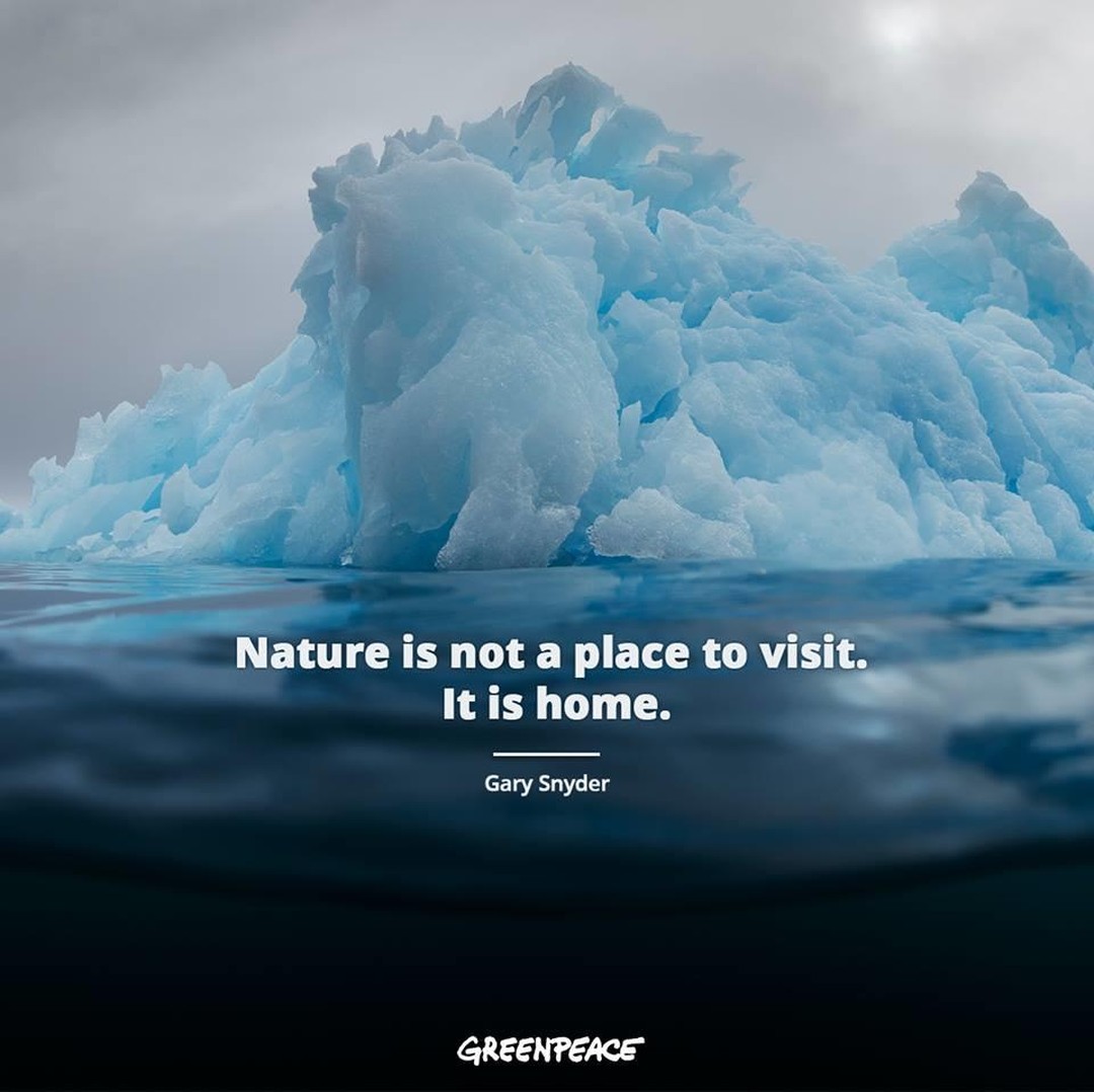 La Natura non è un posto da visitare. 
È la nostra casa.     Gary Snyder 
@greenpeace 

#BeatPlasticPollution 
#StopGreenWashing 
#ProtectOurSpecies
#RenewableEnergy
#ZeroDeforestation 
#CitiesWithNature
#FossilFreeFuture
#ClimateChange 
#StandForNature
#GreenRecovery