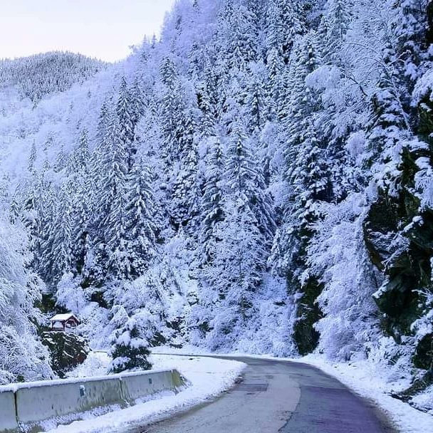 GOHunedoara's tweet image. Pădurea în straie albe....😘❄🚴‍♂️🌲🗻
La Cheile Jiețului, Munții Parâng. 
Foto Catalin Valea
...
#cubicicleta #cheilejietului #muntiiparang #iarna #valeajiului #turismvaleajiului #frumuseteanaturii #beautifulplanetearth #gohunedoara #locurifrumoase