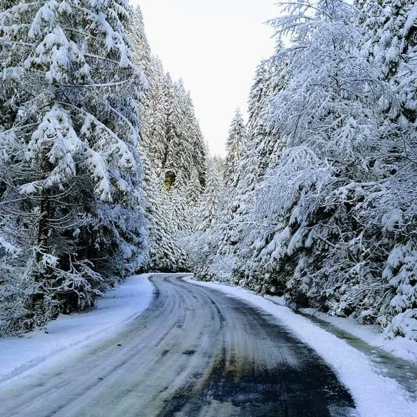 GOHunedoara's tweet image. Pădurea în straie albe....😘❄🚴‍♂️🌲🗻
La Cheile Jiețului, Munții Parâng. 
Foto Catalin Valea
...
#cubicicleta #cheilejietului #muntiiparang #iarna #valeajiului #turismvaleajiului #frumuseteanaturii #beautifulplanetearth #gohunedoara #locurifrumoase