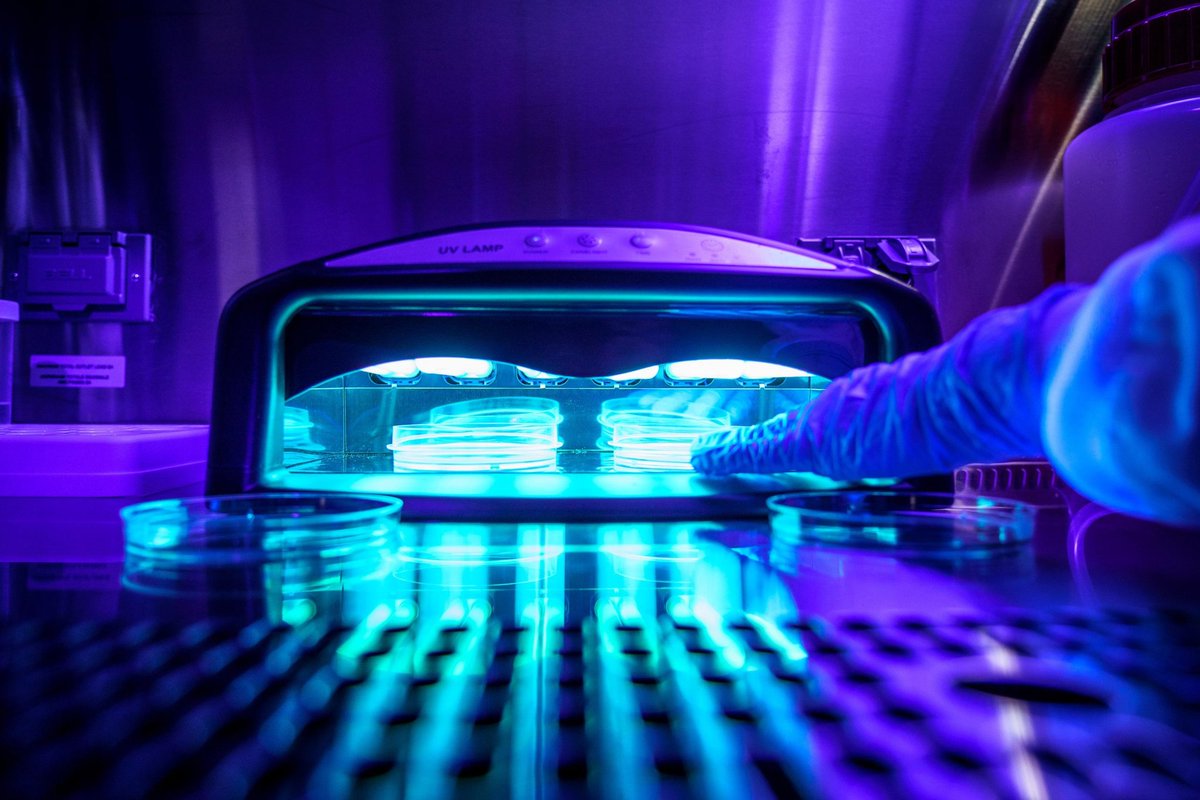 Very relevant article for people performing #photochemistry with these instruments - DNA damage and somatic mutations in mammalian cells after irradiation with a nail polish dyer. 
rdcu.be/c3CSo