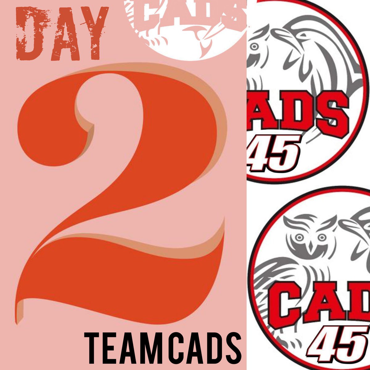SwimCads's tweet photo. After an amazing opening day at the Rotherham Metro Meet @ Ponds Team CADS have secured PBs galore, tonnes of silverware &amp; some of those illusive times to boot | now its time to do it all again DAY 2 
{WE ARE READY FOR YOU} 
@asanortheast @PondsForge @roth_metroSC https://t.co/f9ohH3ZVzh