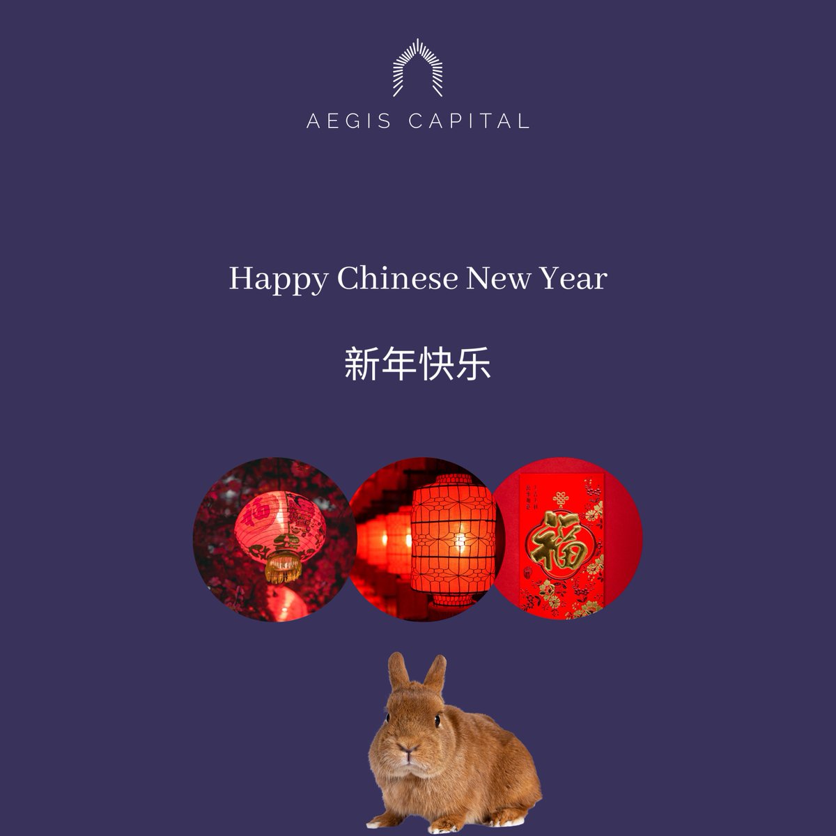 Happy Chinese New Year Wishes 2023, Aegis Capital Partners wishes you happiness in the year of the rabbit. 

#chinesesnewyear #yearoftherabbit #acpuae