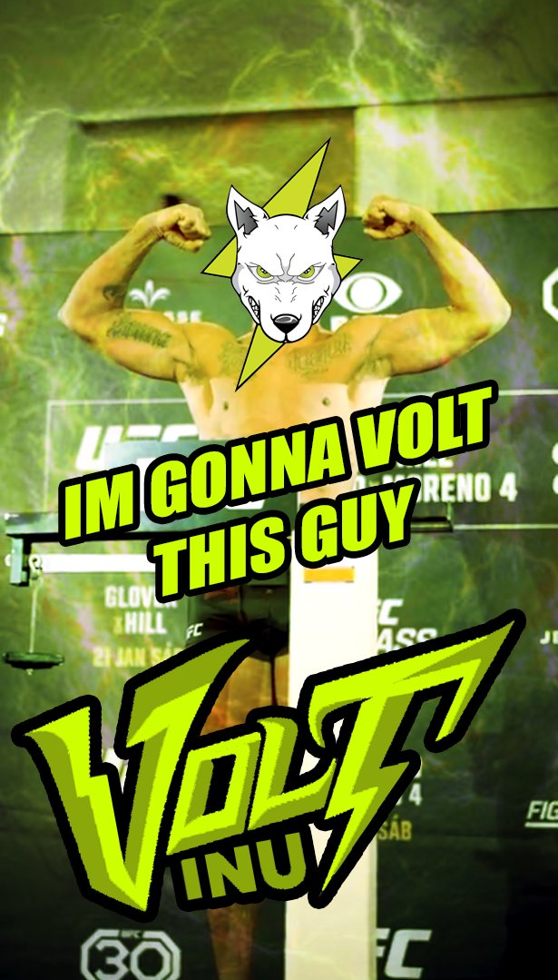 CryptoCoxyz's tweet photo. @GilbertDurinho CANT WAIT TO SEE YOU VOLT THIS GUY!! ⚡⚡ SHOW GILBERT HOW VOLTED WE ARE FOR HIS FIGHT ⚡⚡!!! #VOLTARMY @VoltInuOfficial @VDSC_Official #VOLT  #VOLTINU #VOLTICHANGE $VOLT #VOLTINU #VDSC https://t.co/W1vbmTjtS1