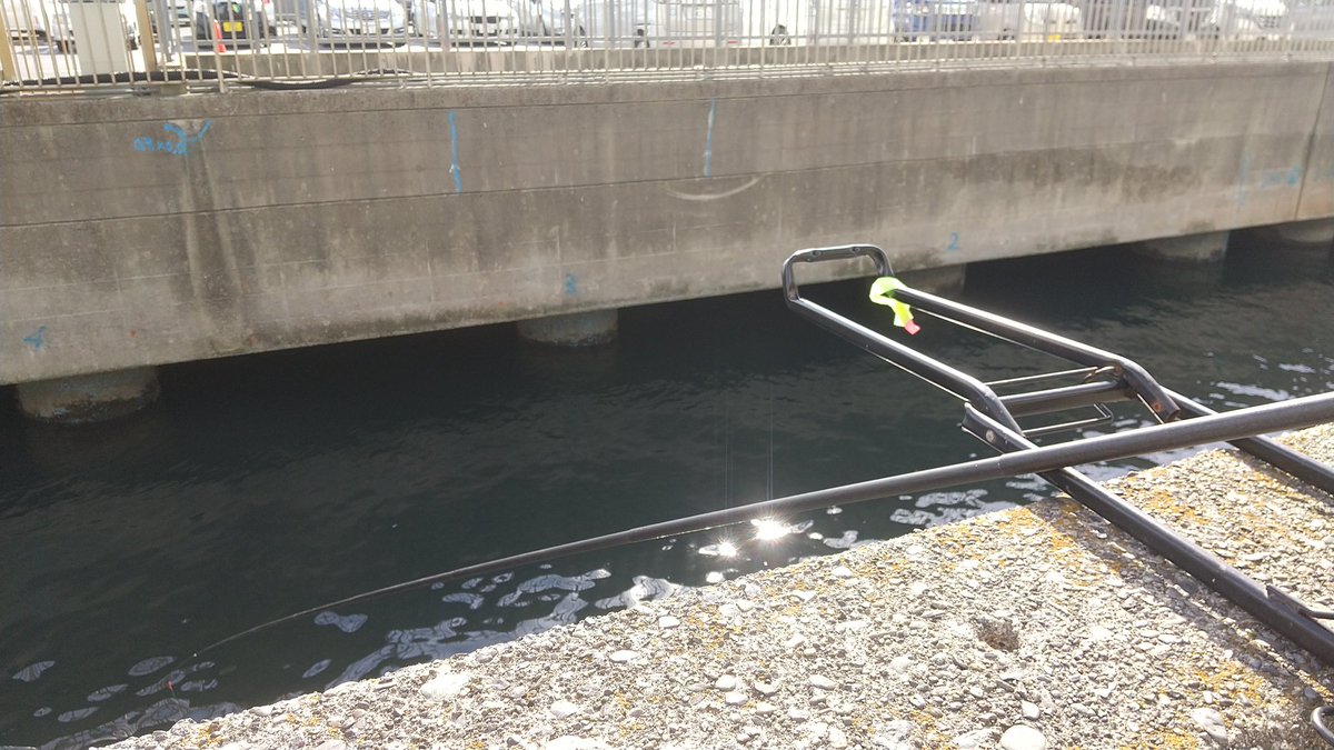 今日は初場所です！