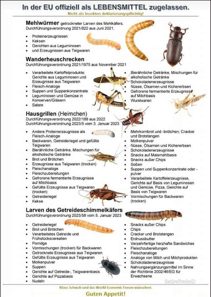 Wenn es einen Supermarkt gäbe, der nur Produkte ohne Insektenzusatz verkaufen würde, dann würde ich künftig dort einkaufen. Wie seht Ihr das?