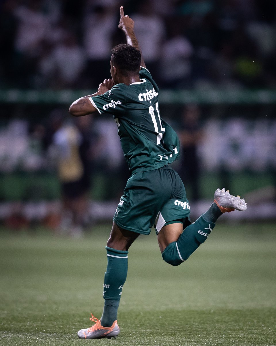 que momento!!Obrigado família Palmeiras,estamos na final da Copa Sp🥹💚💚