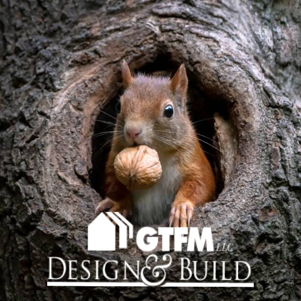 BuildGtfm's tweet photo. Nuts! Almost forgot to mention it's National Squirrel Day! As one of the best and most creative nest builders nature has to offer, they share alot in common with GTFM, the best home builders!

#nationalday #nationalsquirrelday #nationalsquirrelappreciationday #squirrel #squirrels https://t.co/jJ90GIsoNL