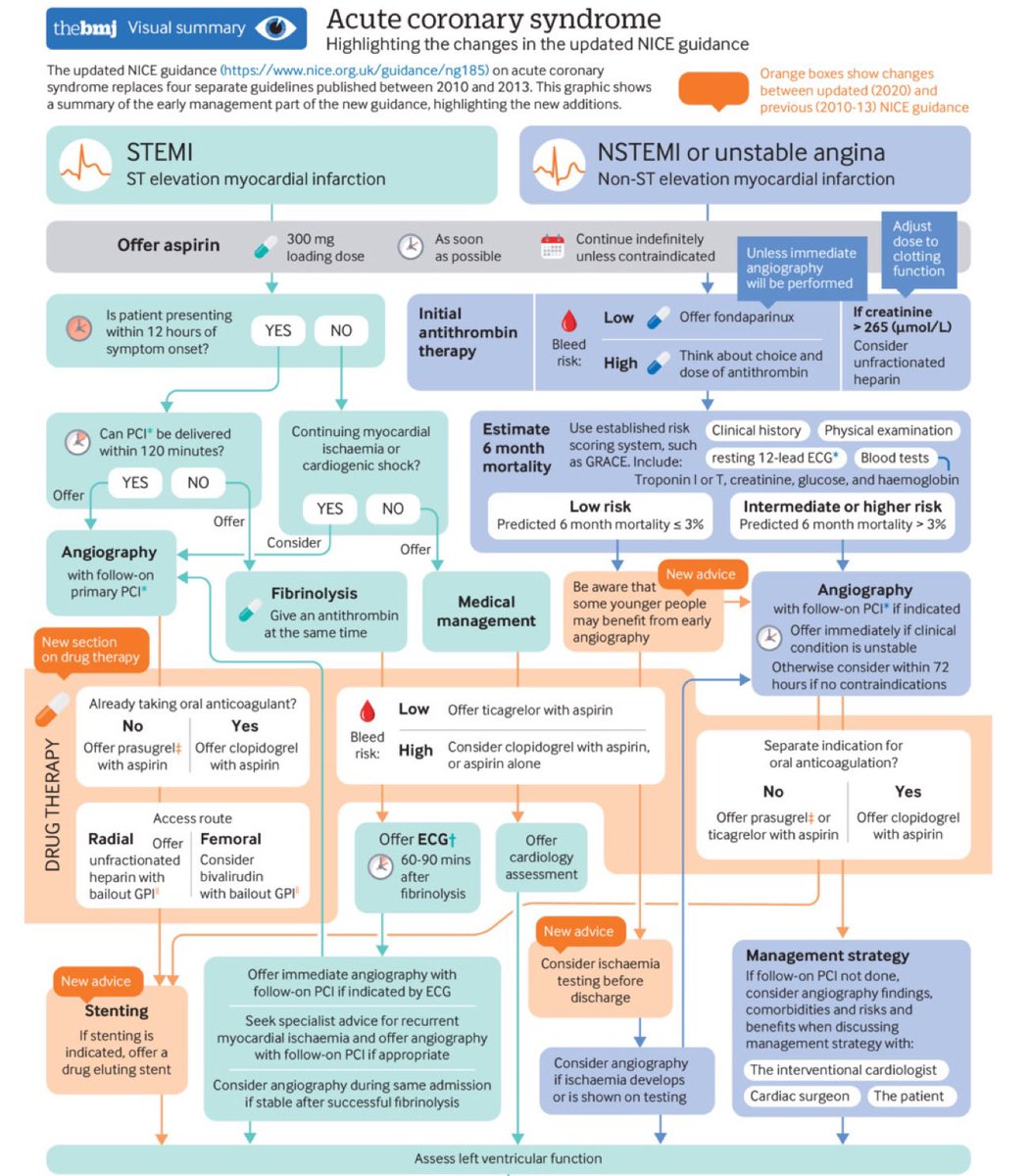 ApoThera's tweet photo. Acute Coronary Syndromes (NICE)
- STEMI
- NSTEMI
https://t.co/0JPhaIqrqv
#Cardiology #CardioTwitter #MedEd #cardiovascular #MedTwitter #internalmedicine #PCI #CATHLAB #RadialFirst #HeartNews #FOAMcc #telemedicine #USMLESTEP3 #USMLE #healthcare #FOAMed #paramedics #EMBound https://t.co/xzzcUyHt5A