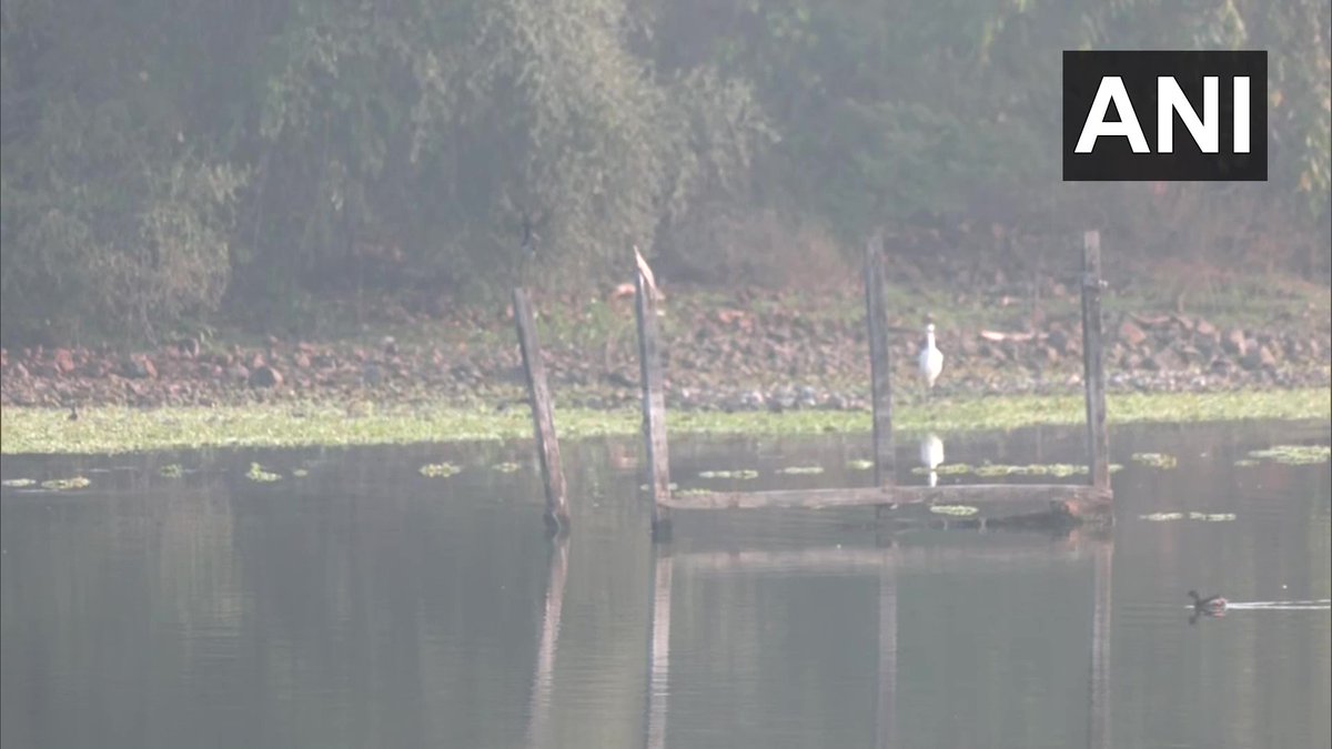 ANI's tweet photo. Maharashtra | The annual Asian Waterbird Census gets underway at Ambazari &amp; Gorewada lakes on the outskirts of Nagpur city. 

This Census is conducted every year in January to record the status of important wetlands and the population of bird species. https://t.co/XTBI7I4Kou