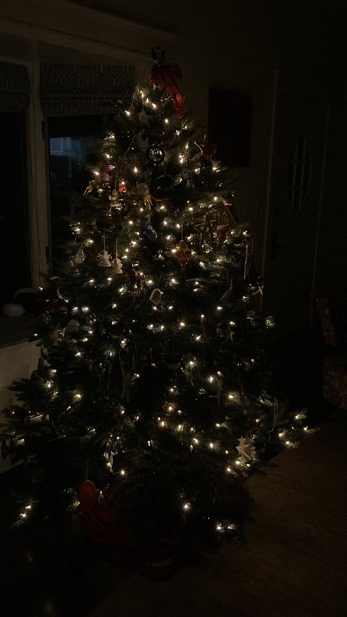 rickkeuler's tweet photo. Christmas Tree Referendum One passed. See you next weekend. Go Birds! https://t.co/Cvs6Dmlf1B
