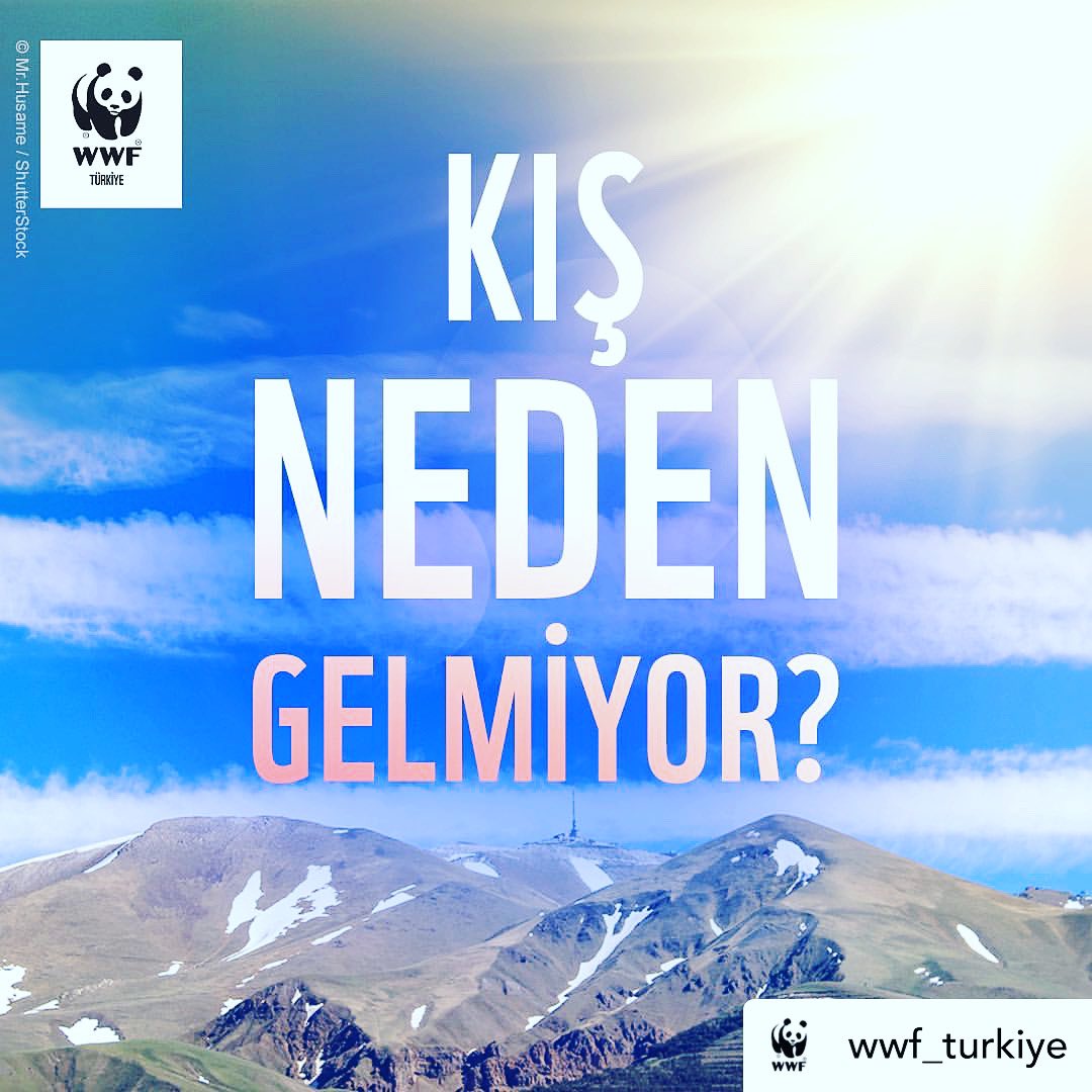 fatihportakal's tweet photo. Sor bakalım bu soruyu kendine, kendimize! Aç gözlü insanlik miras bırakmamaya niyetli geleceğe… https://t.co/OrC97k7gkg