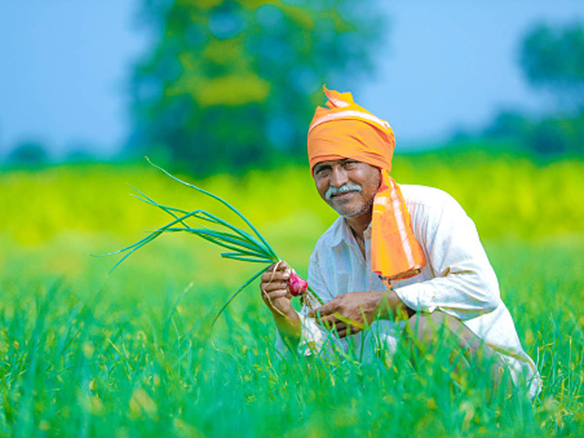 mahendra3002's tweet photo. #कृषिपर्यवेक्षक_के_पद_सृजित_कर_भर्ती_जारी_करो
 कृषि मंत्री जी राज. में 12000 ग्राम पंचायतें है। उनमें से 7904 पंचायतों पर ही कृषि पर्यवेक्षक हैं ll

4000 ग्राम पंचायतों पर पद सृजित कर #नई_कृषि_पर्यवेक्षक भर्ती शीघ जारी करें
@KatariaLalchand
@RajCMO 
@ashokgehlot51 https://t.co/RHPG2axR61