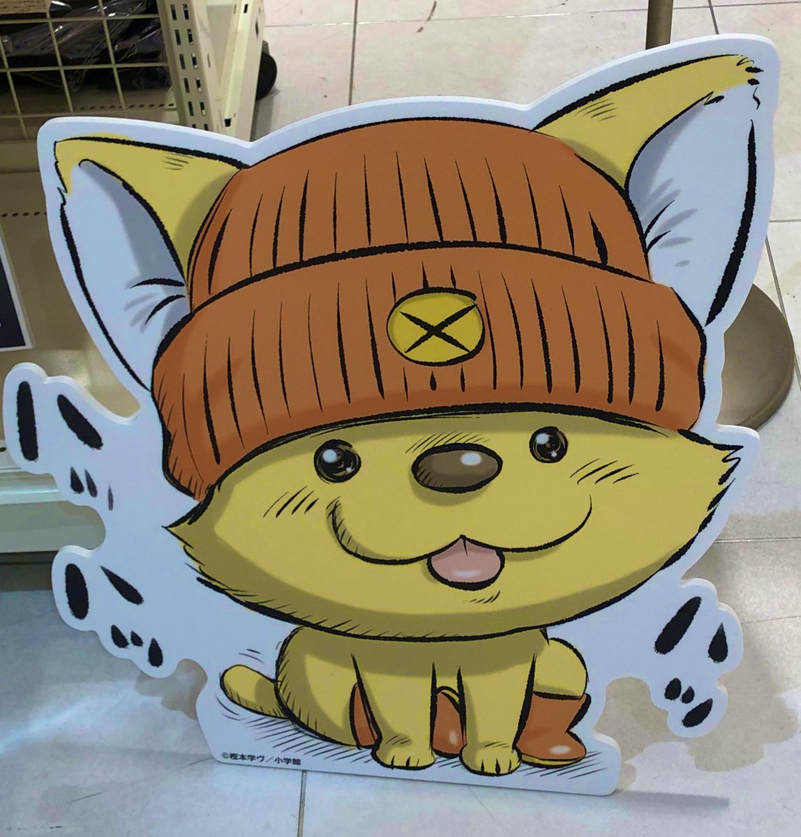 約20年越しに推しのアクスタが手に入るなんてことある?あるんです!!!!もしかして誰か禁貨あつめてバン王を呼び出しました?!最高の空間でした…😭このショップの為に人力を尽くしていただいた方、本当にありがとうございます😭🙏 #バンカーサバイバルin新宿 