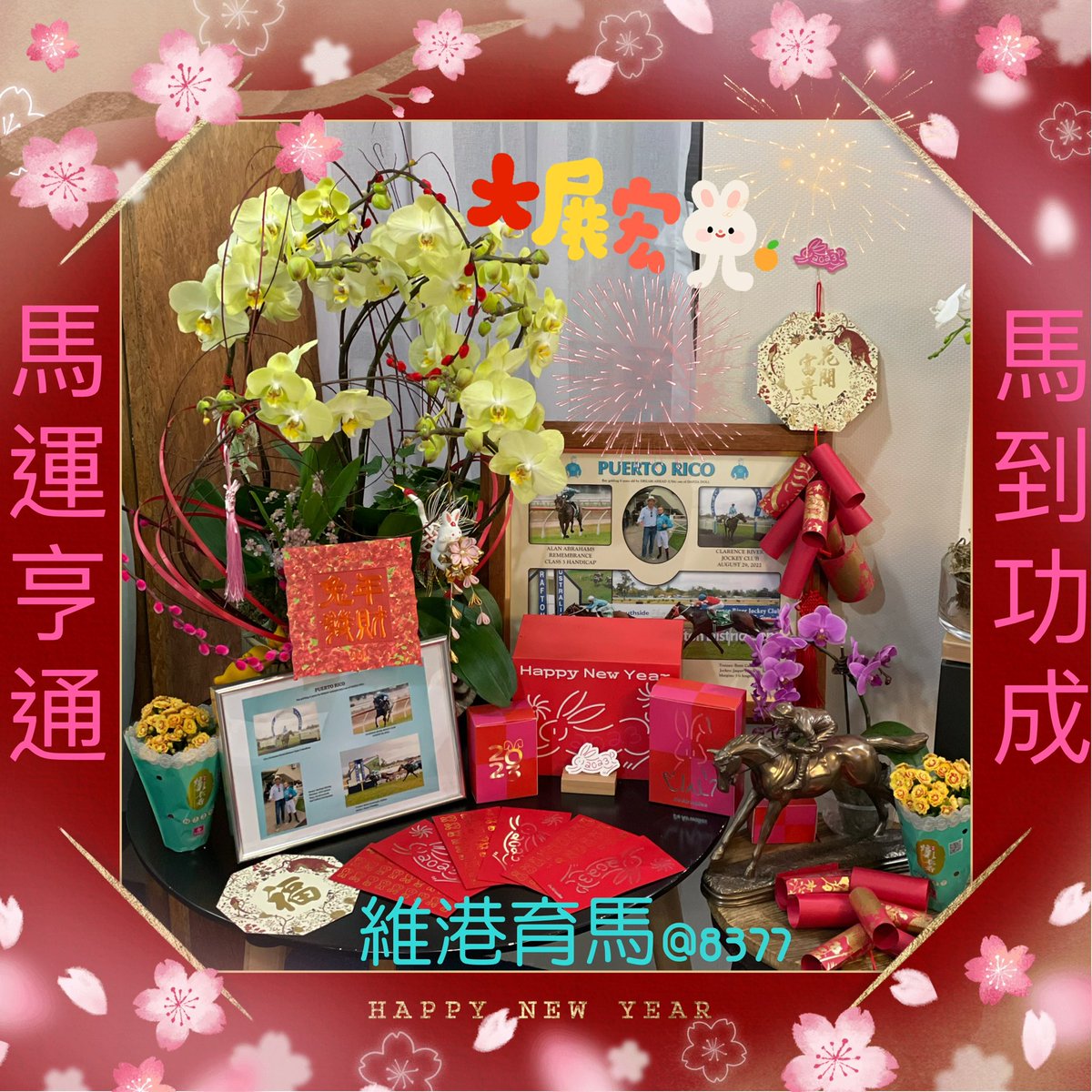 HarbourEquine's tweet photo. 🧧Welcome Year of the Rabbit 🐰 Wishing you a great Rabbit 🐇 year ahead 💰@HarbourEquine https://t.co/pbPi3TiKlx