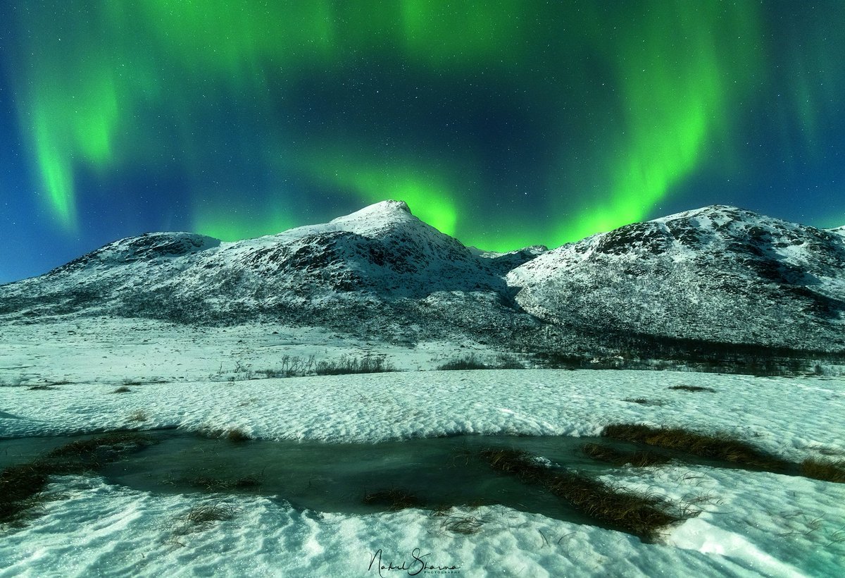 nakul_sharma07's tweet photo. Gm 

Let's paint it green... who loves auroras ? 

Happy Sunday https://t.co/9agxGHLpCx