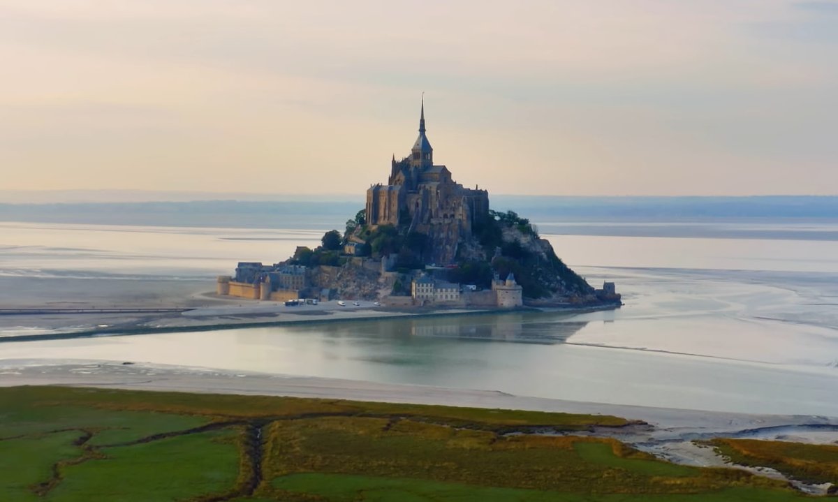 Aneely 🛸 Harris (💙,🧡) tweet media