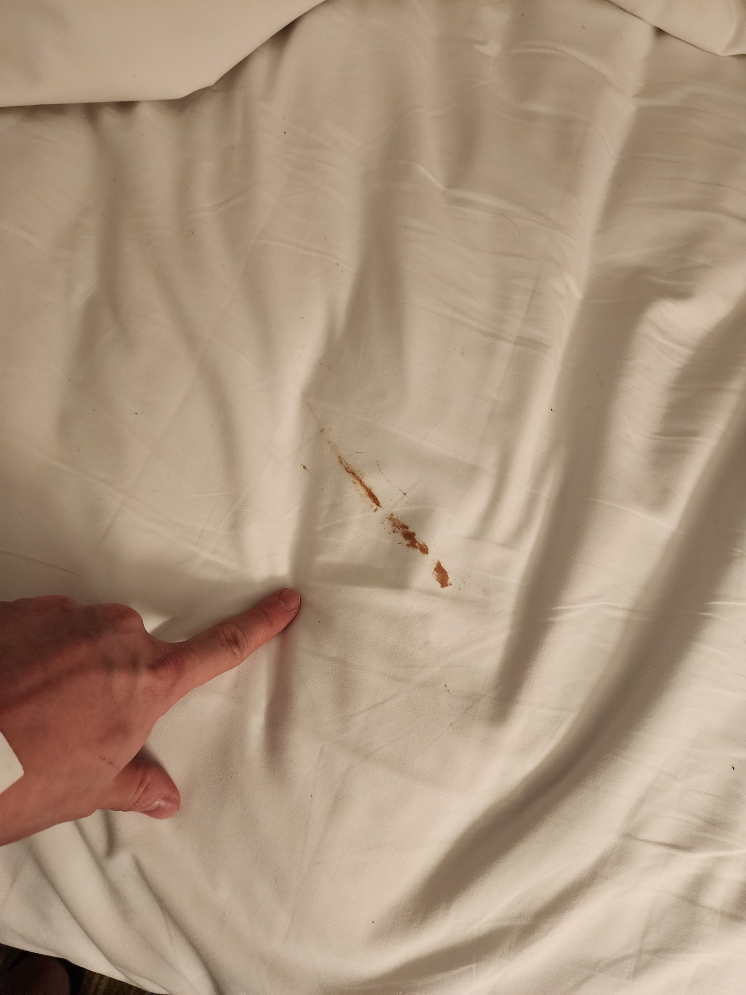 LYCHGATE @ ANE + OHAYOCON on Twitter: 