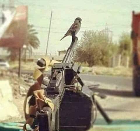 Haksaar1's tweet photo. یقیناً
مرغان هم د وطن له ښکلا امنیت څخه خوند اخلي

#شکراً_یارب https://t.co/dI3TvWuWof
