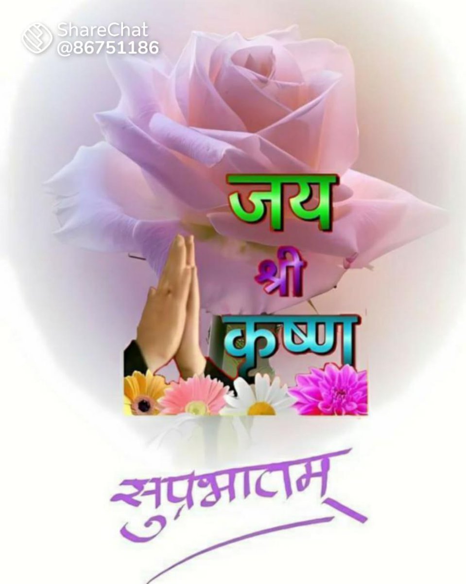 KiritPatil2's tweet photo. @shrinathdham108 @Jagrutimanek5 @nehal_079 @Priyank73990279 @Kalpesh01417644 @anitatrivedi19 @VrundaAnita जय श्री कृष्ण https://t.co/JzsSL6Za3g